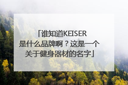 谁知道KEISER 是什么品牌啊？这是一个关于健身器材的名字