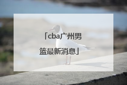 「cba广州男篮最新消息」CBA富邦男篮最新消息
