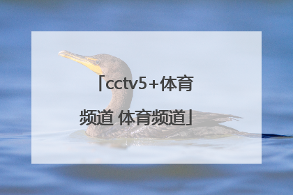 「cctv5+体育频道 体育频道」正在直播的体育频道中央电视台体育频道