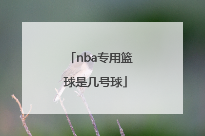 「nba专用篮球是几号球」现在NBA专用篮球