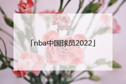 「nba中国球员2022」nba中国球员2020