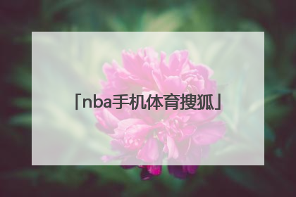「nba手机体育搜狐」搜狐nba体育官网