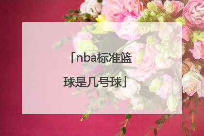 「nba标准篮球是几号球」NBA篮球标准